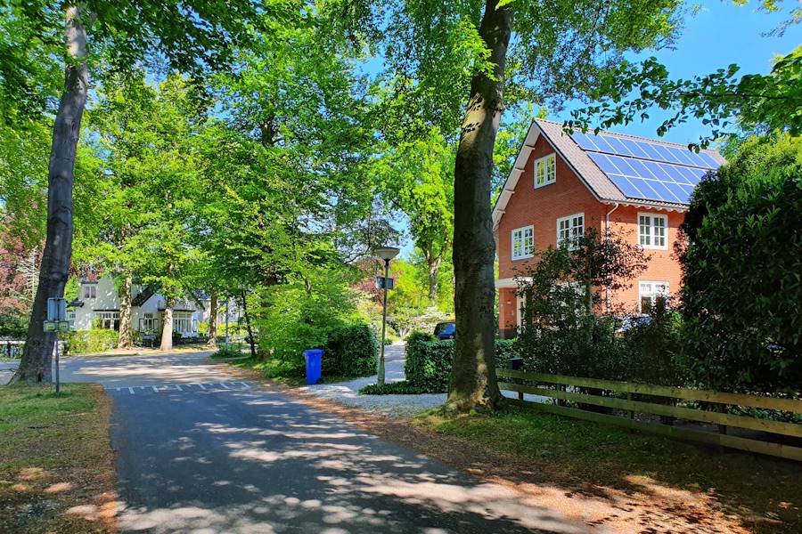 Bos van Bredius-Zuid 1