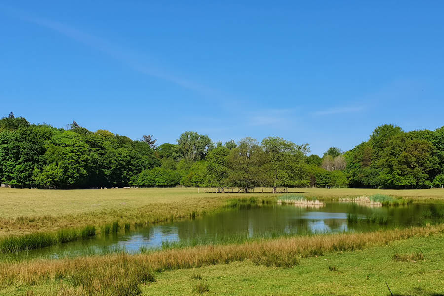 Bos van Bredius-Zuid 3