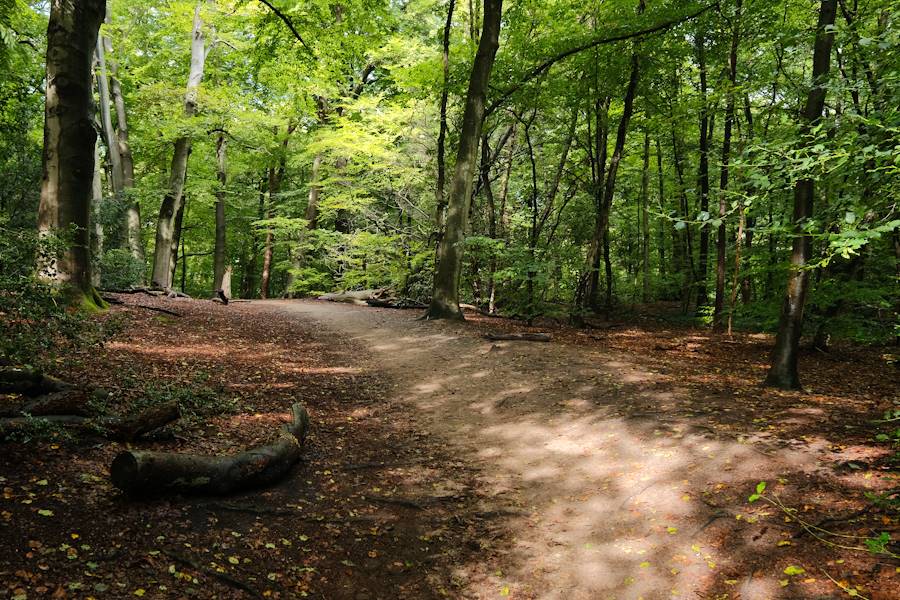 Bos van Bredius-Zuid 5